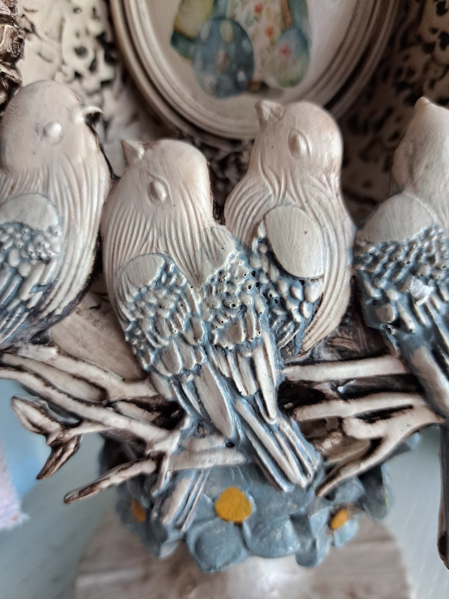 Oeuf les oiseaux